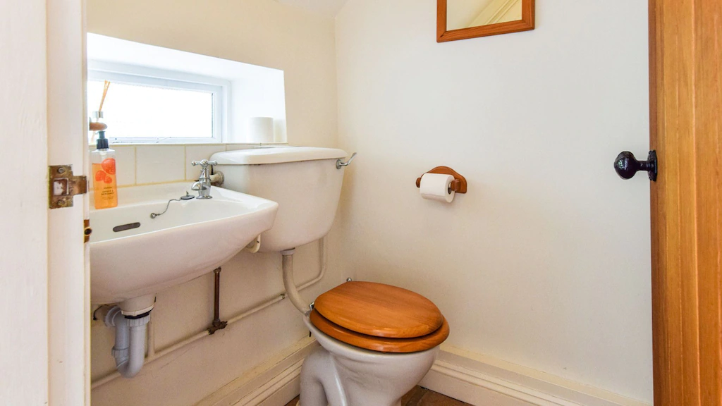 Downstairs WC